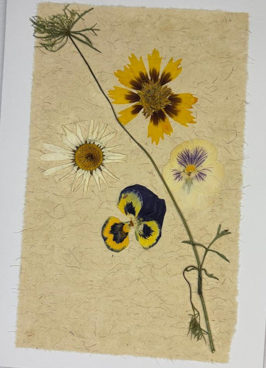 Field & Fiber Collage Flower Pressed Art