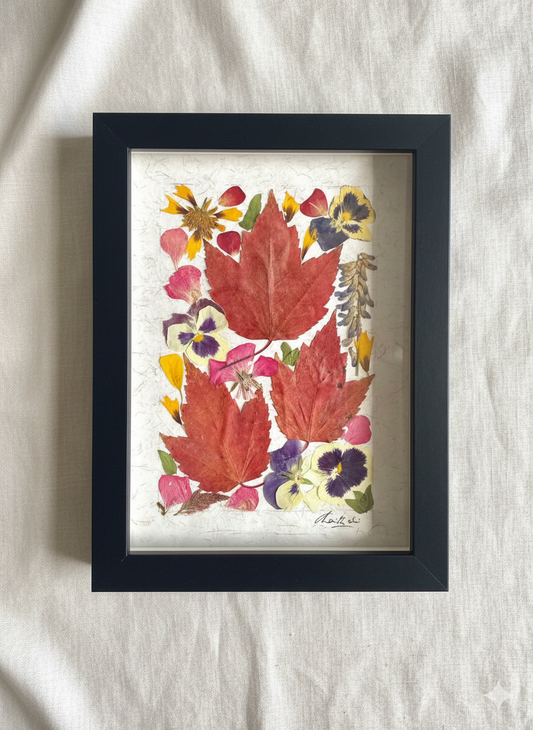 Framed artwork with pressed leaves and flowers on a textured white background