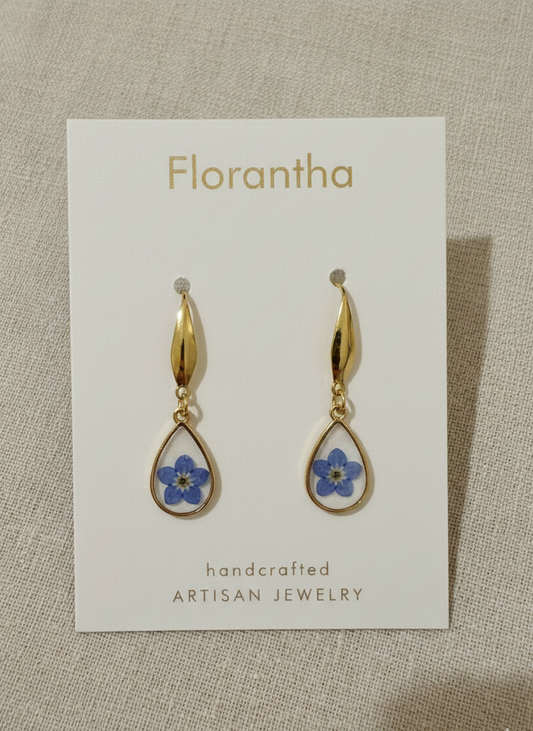 Teardrop Forget-me-Not Pressed Flower Earrings - Gold